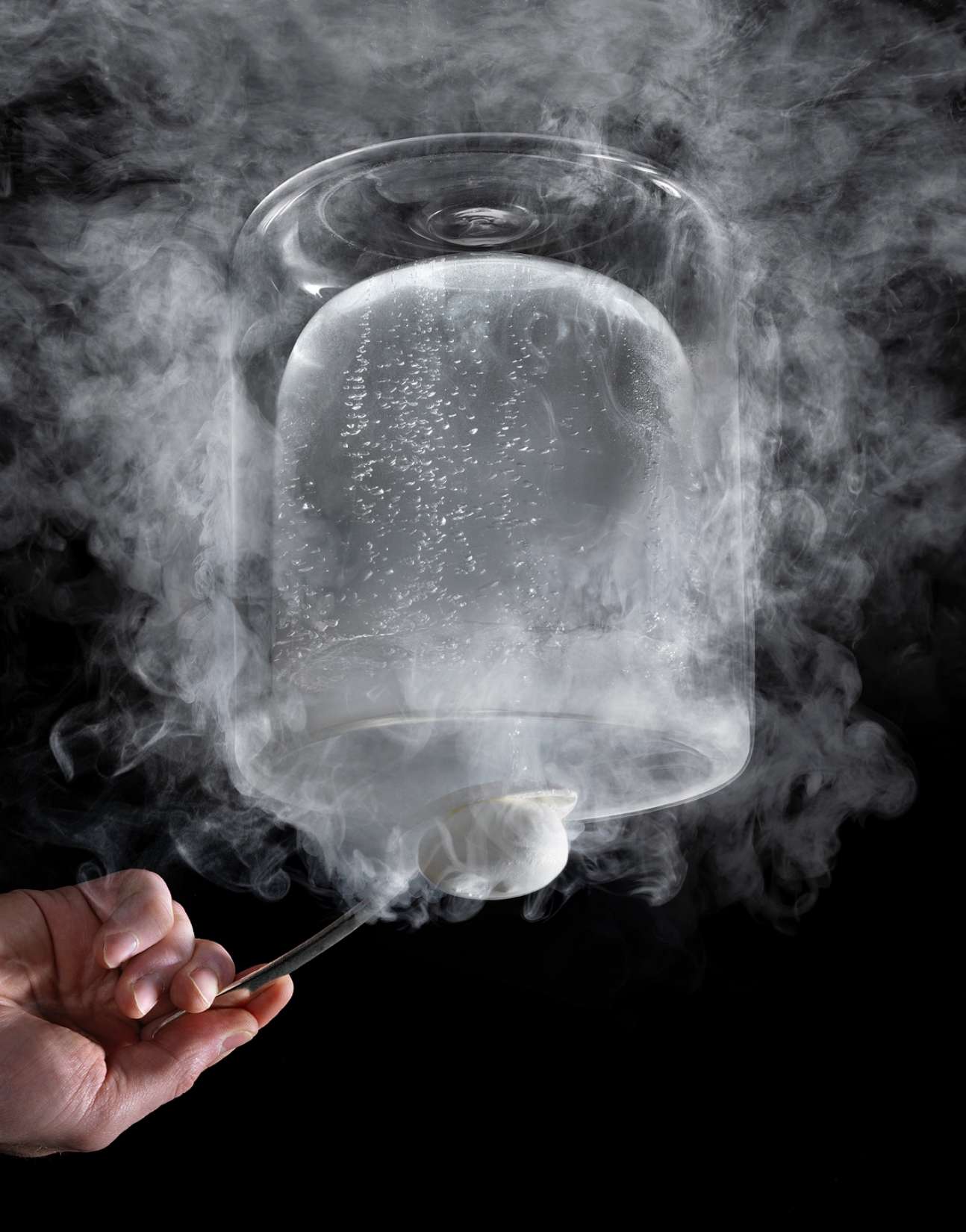 TFD Turbot Veronique