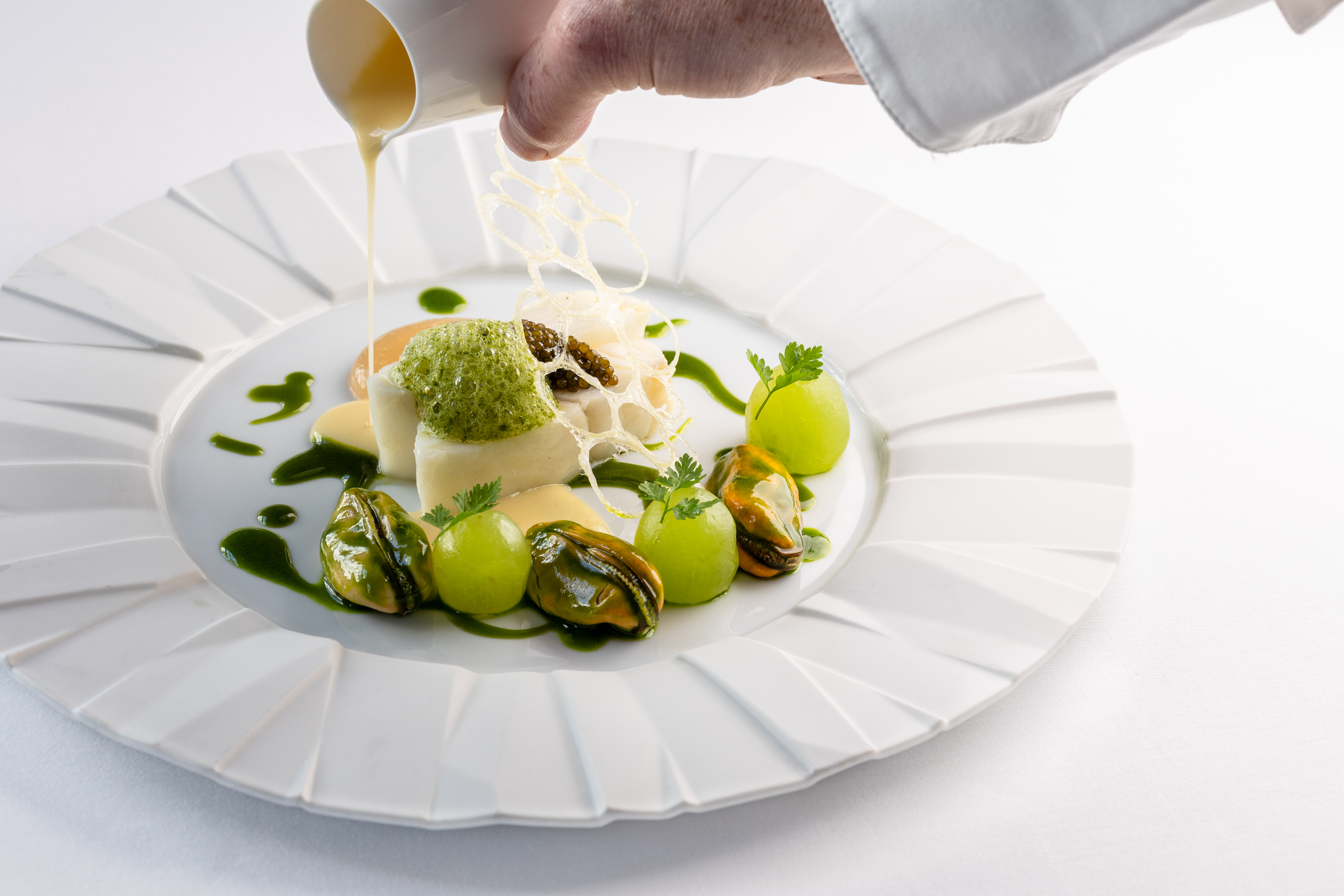 TFD Snail Porridge