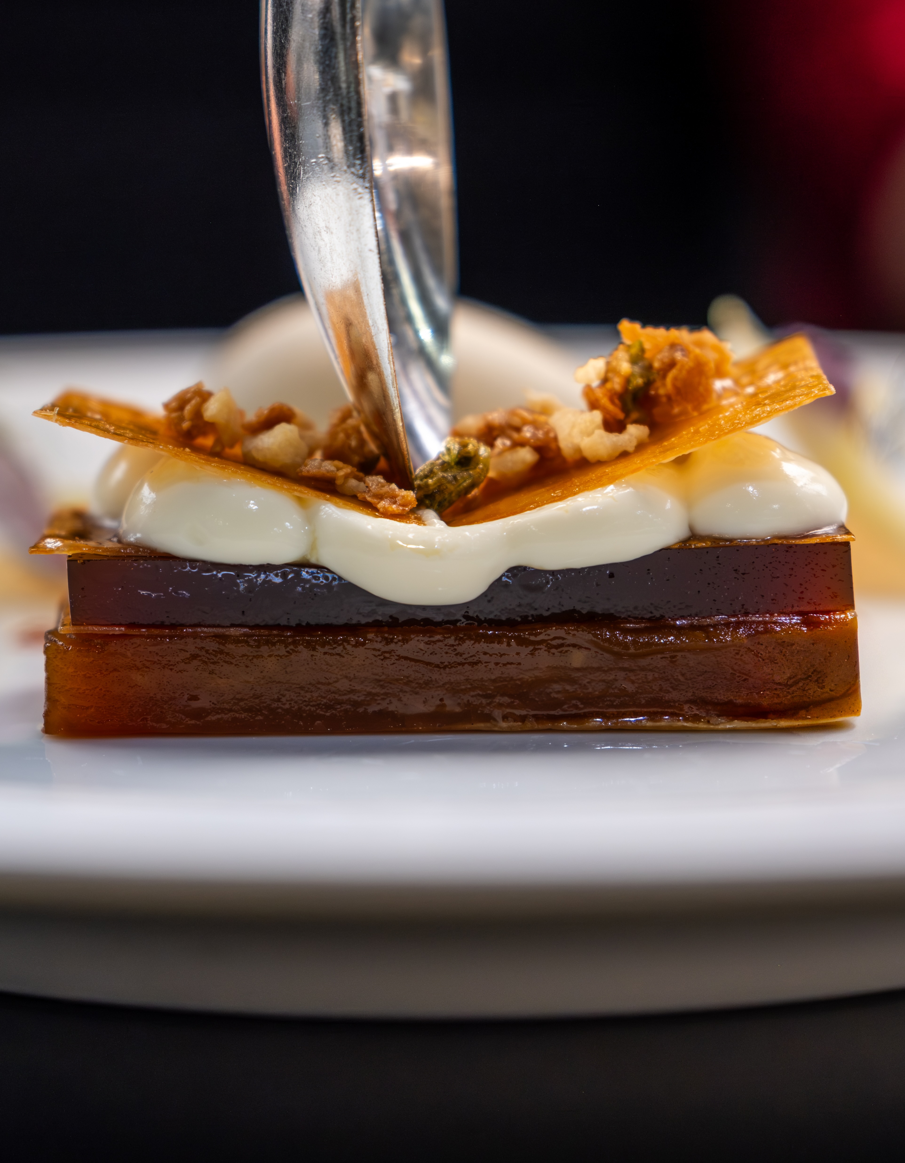 TFD Turbot Veronique